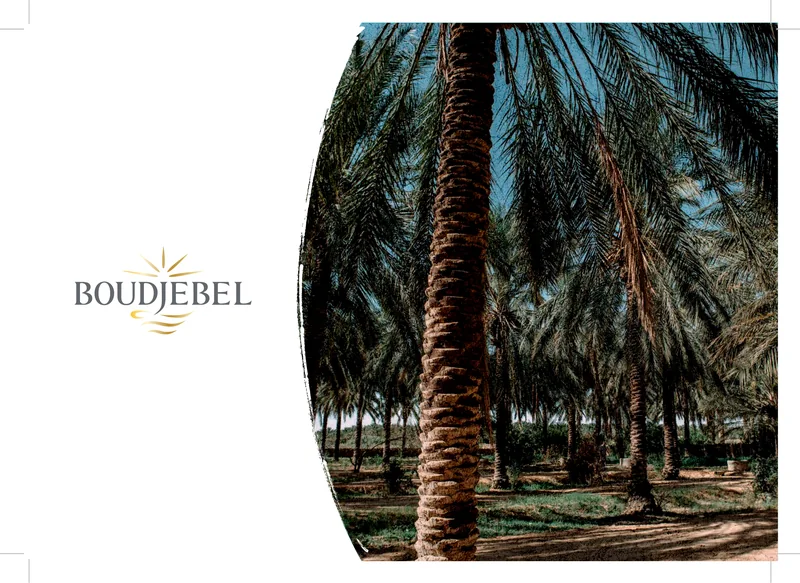Boudjebel catalogue, page 1