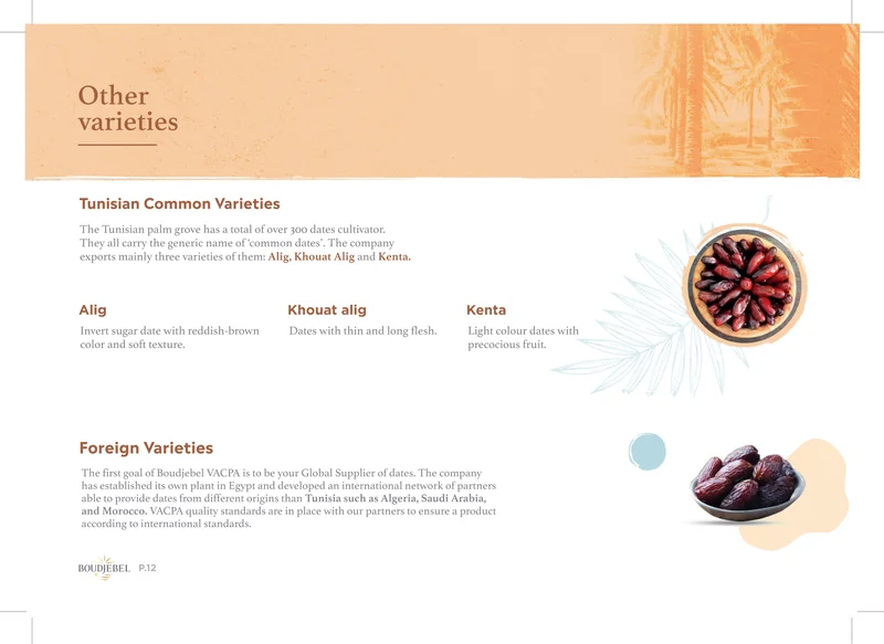 Boudjebel catalogue, page 12