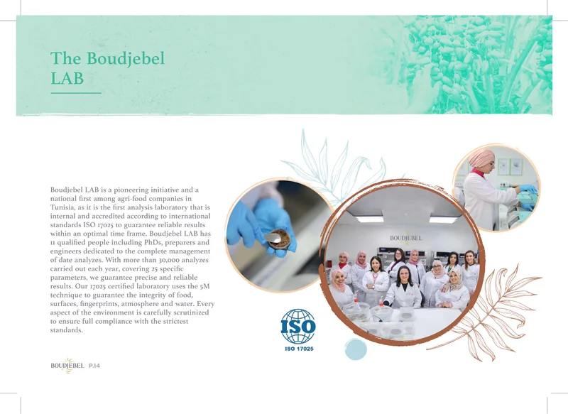 Boudjebel catalogue, page 14