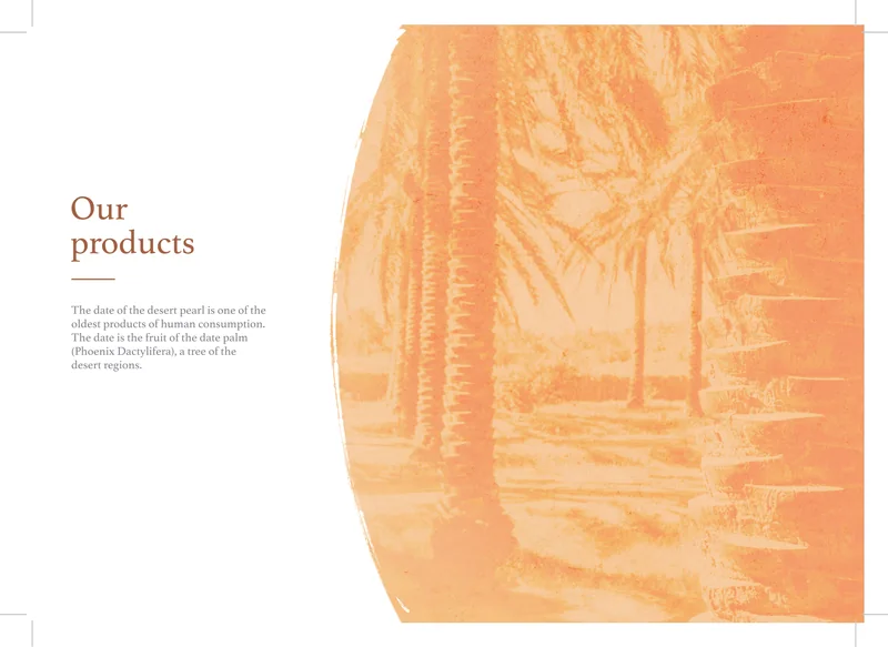 Boudjebel catalogue, page 4