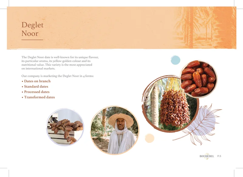 Boudjebel catalogue, page 5