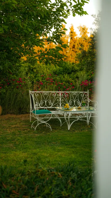Bosten El Jerbi — Hospitality photo shoot